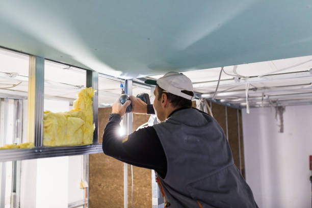 Best Insulation Contractors for Homes  in South Pasadena, FL