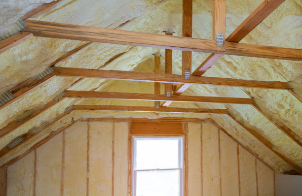 Insulation Contractors for Homes