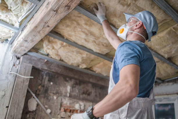 Best Cellulose Insulation  in South Pasadena, FL