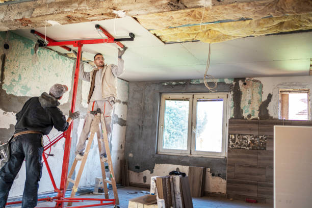 Best Insulation Contractor Near Me  in South Pasadena, FL